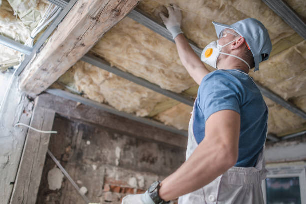 Best Residential Insulation in Cisco, TX